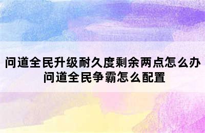 问道全民升级耐久度剩余两点怎么办 问道全民争霸怎么配置